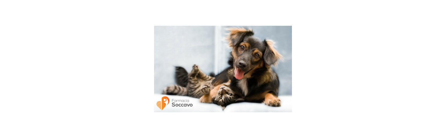 Antiparassitari per cani e per gatti: quali usare e perché?