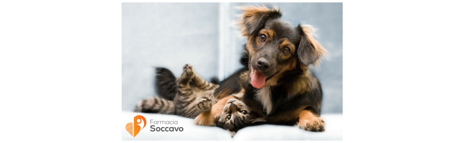 antiparassitari-per-cani