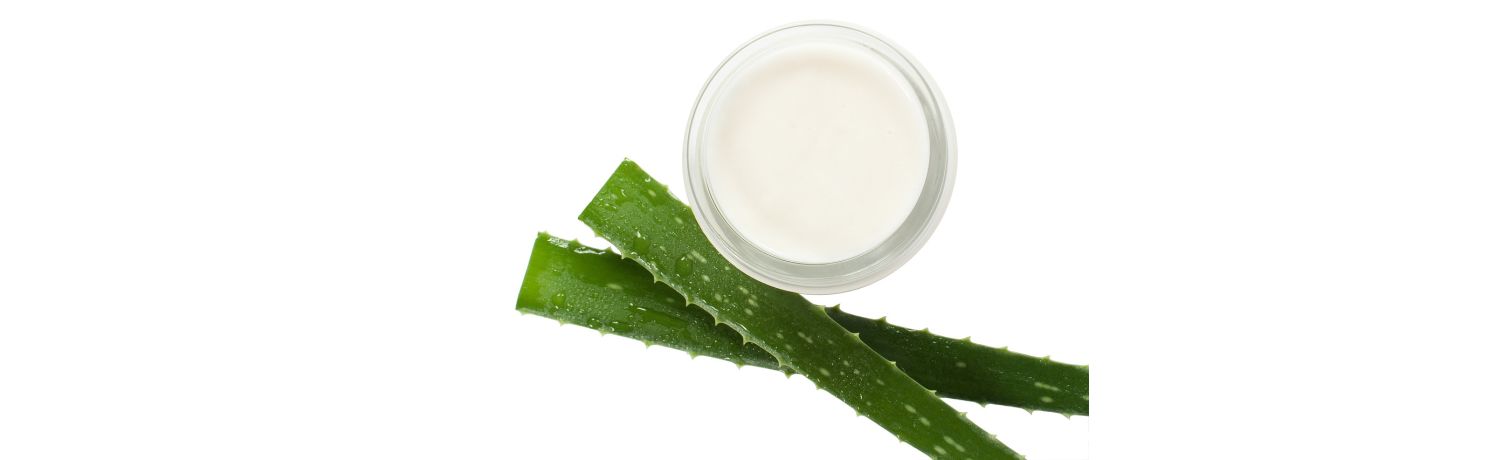 Aloe vera benefici