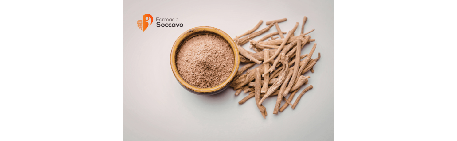 Ashwagandha: Proprietà, Benefici e Come Assumerla per Combattere Stress e Ansia