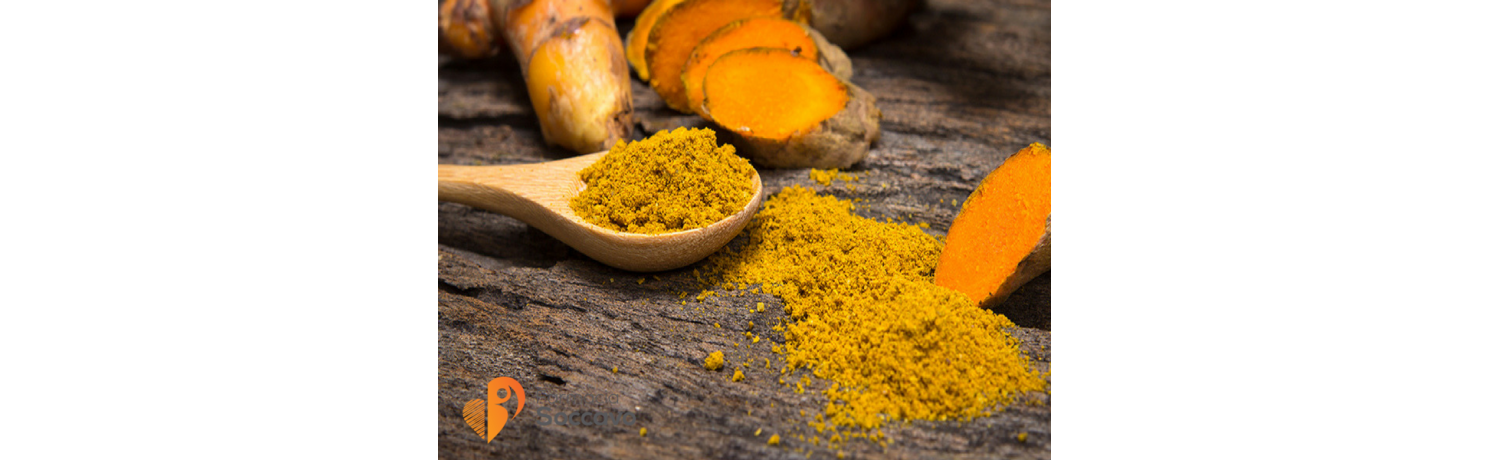 Curcuma: proprietà e benefici