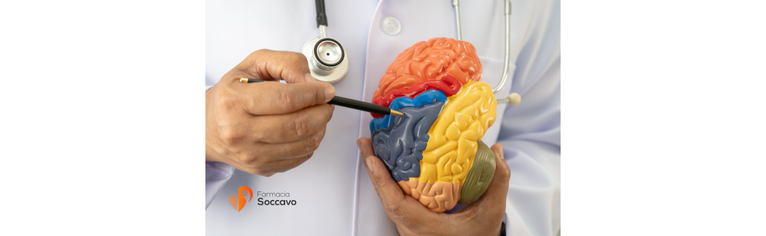 Intestino e Cervello: Guida Completa al Microbiota per Stanchezza, Umore e Difese nel 2026