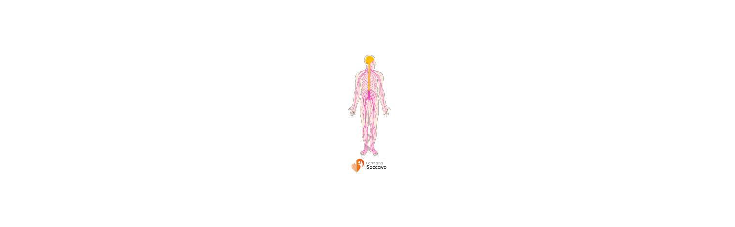 Antinfiammatori per Muscoli e Nervi: Guida Completa all'Uso e ai Benefici