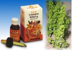 Menta olio 10ml specch