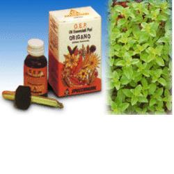 Origano olio 10ml specch