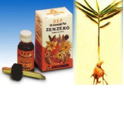 Zenzero olio 10ml specch