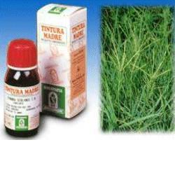 Sp.gramigna 37 tm 50ml