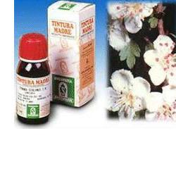 Sp.biancospino tm 50ml