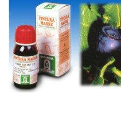 Sp.mirtillo 31 tm 50ml