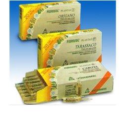 Fisiosol pl ribes ne 20f.