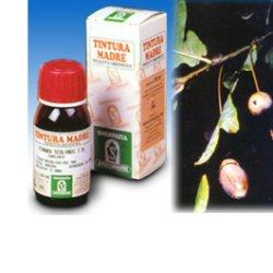 Sp.fucus vesic.tm 50ml