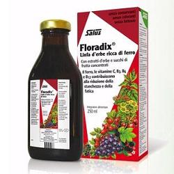 Floradix integr.ferro 250ml