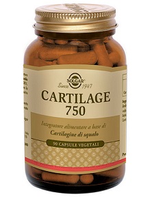 Cartilage 750 90capsule