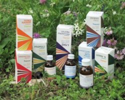 Raemil propoli 15ml