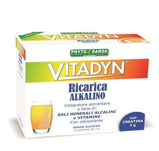 Vitadyn Ricarica Alkalino 14 Buste