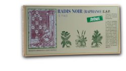 Radis noir comp.12f. stv