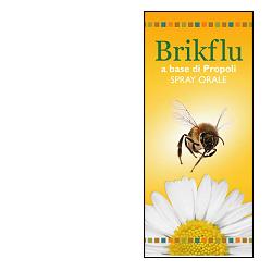 Brikflu spray nat.30ml