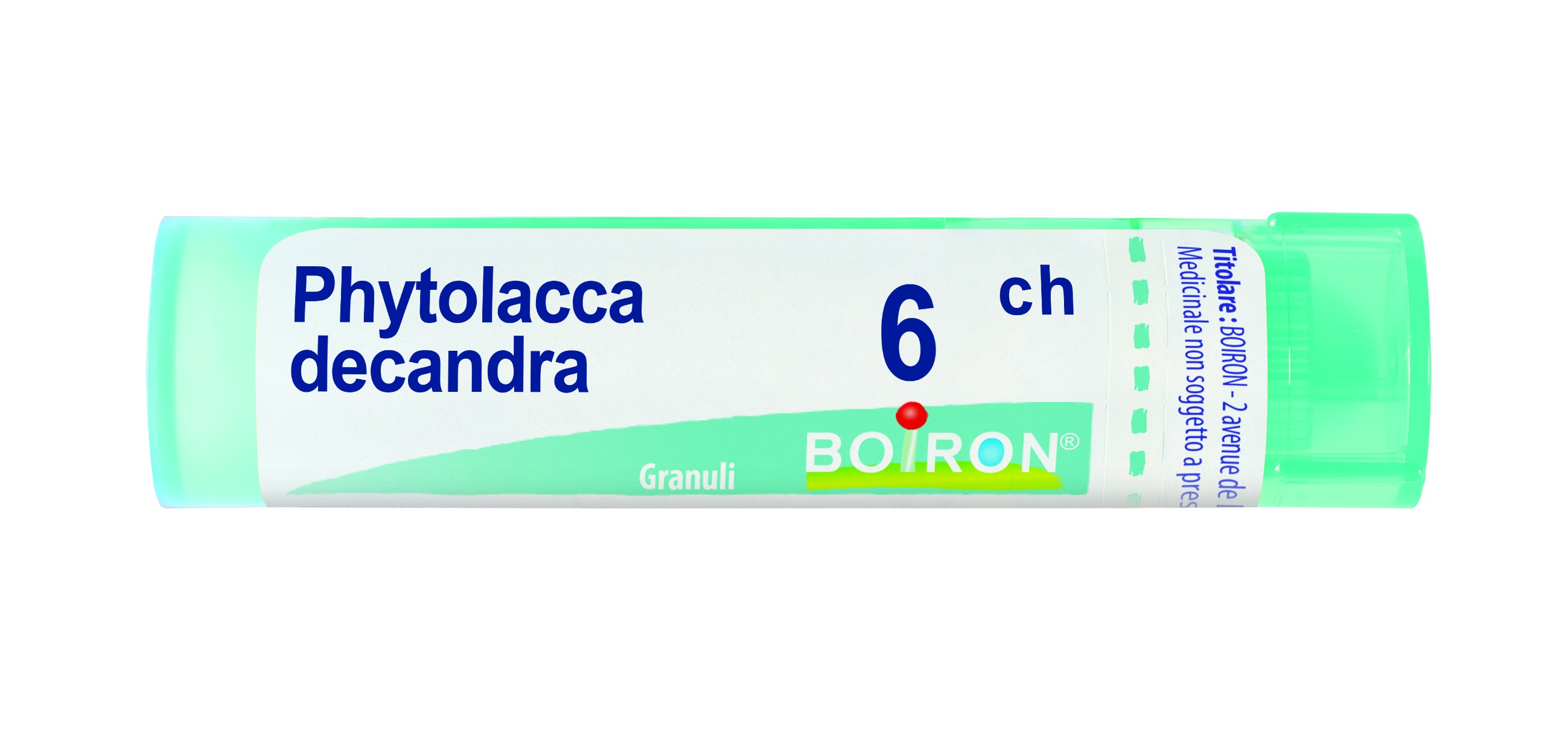 Phytolacca decandra 6ch 80gr