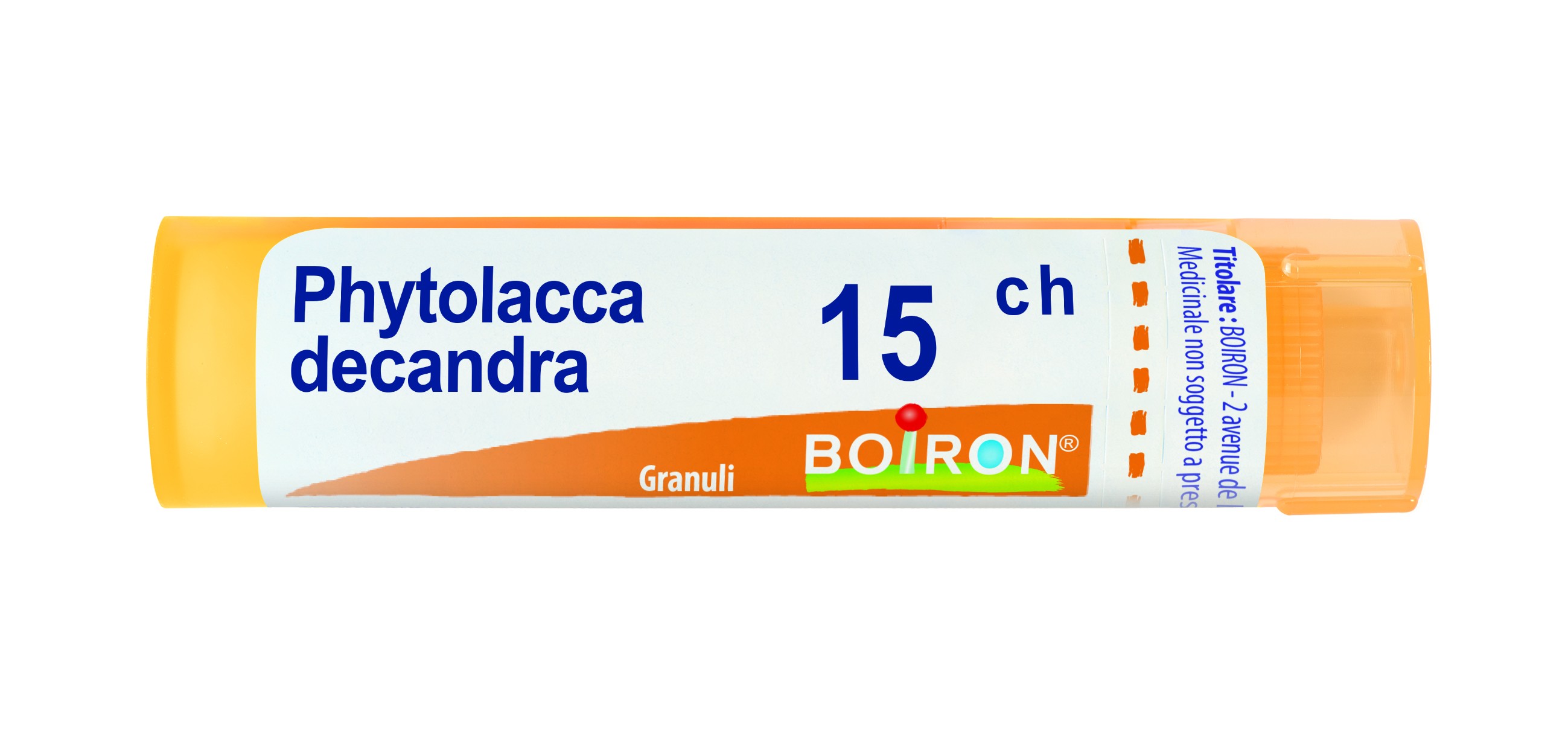 Phytolacca de boi 15ch 80gr