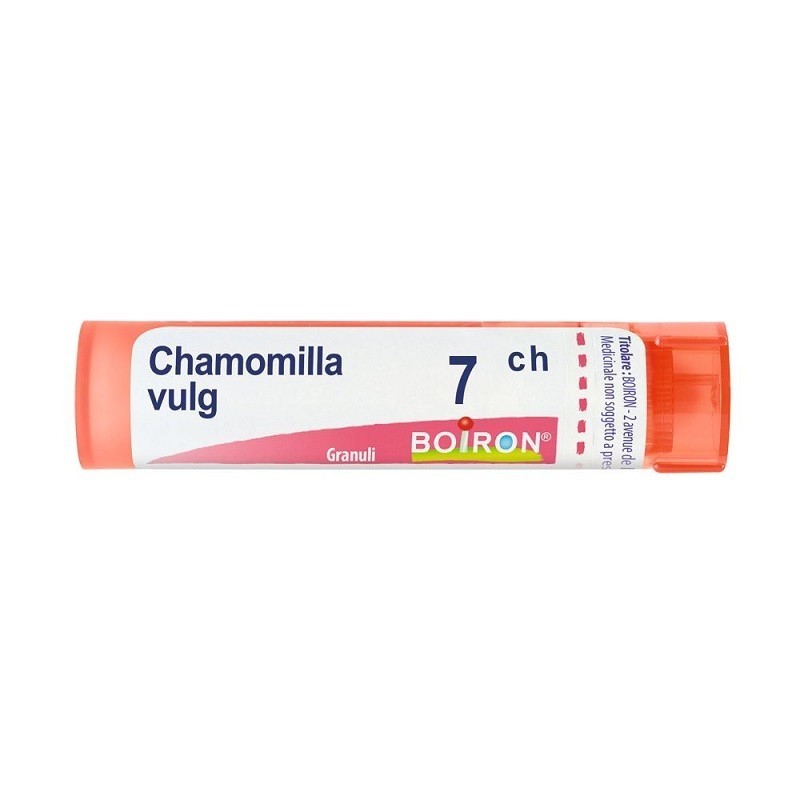 Chamomilla vulgaris 7ch 80gr