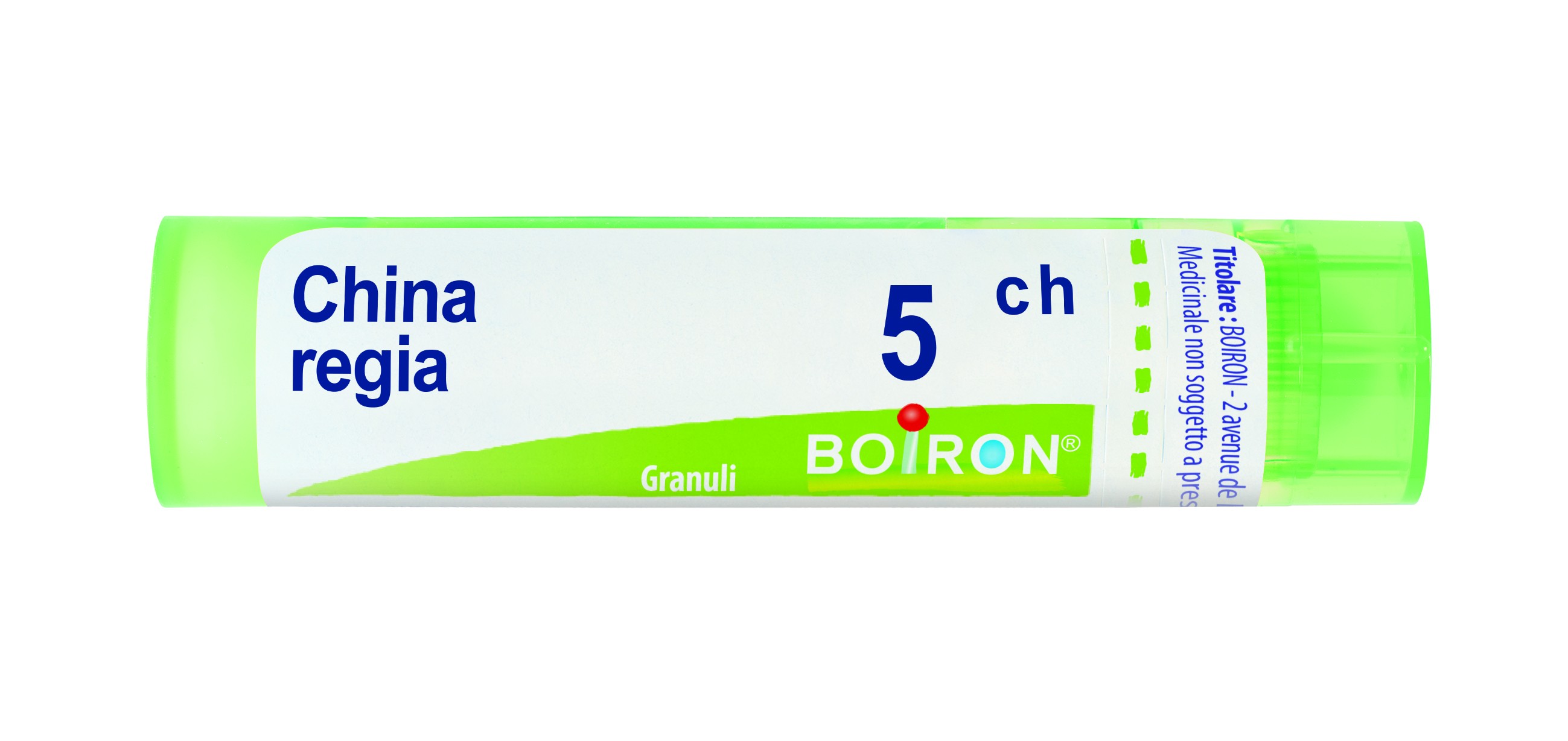 China regia 5ch 80gr 4g
