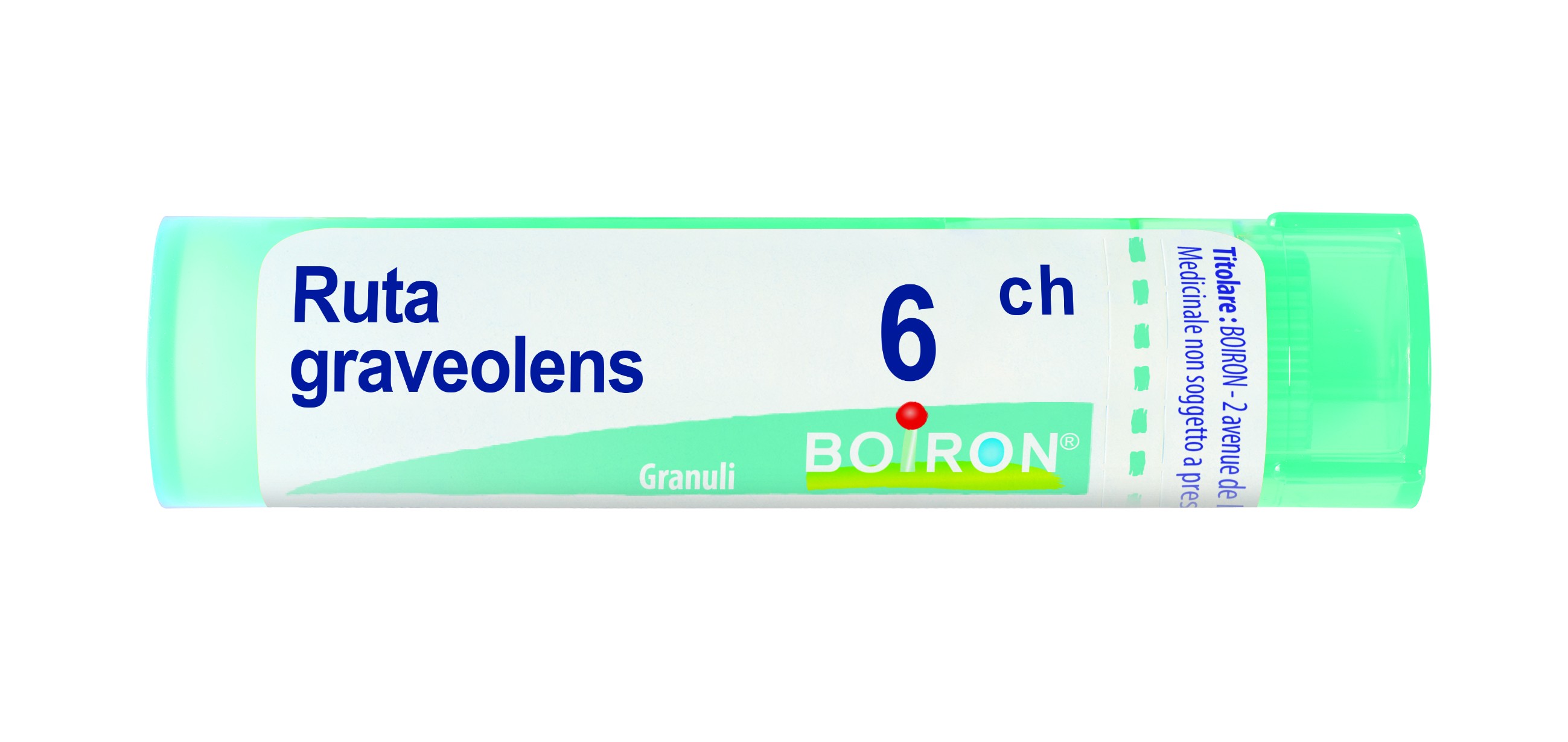 Ruta graveolens 6ch 80gr 4g