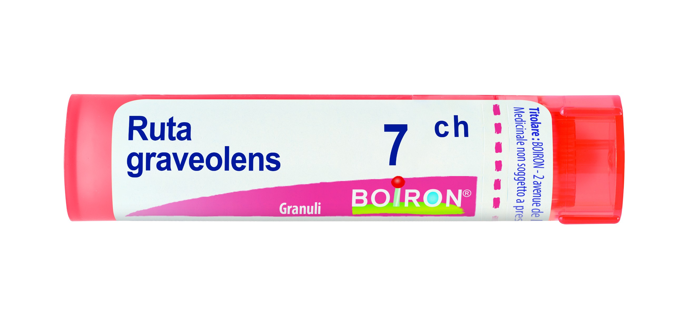 Ruta graveolens 7ch 80gr 4g