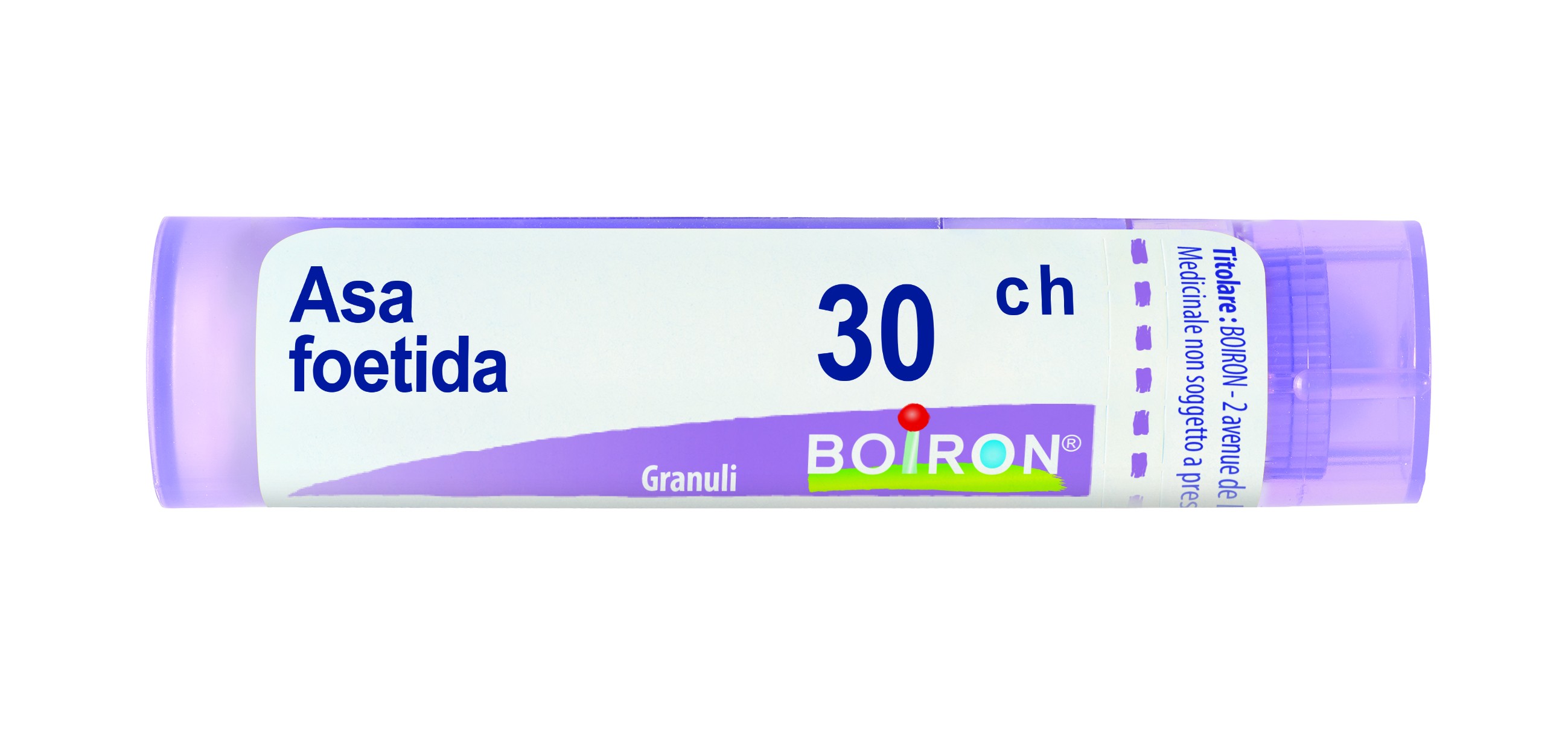 Asa foetida boi*30ch 80gr 4g
