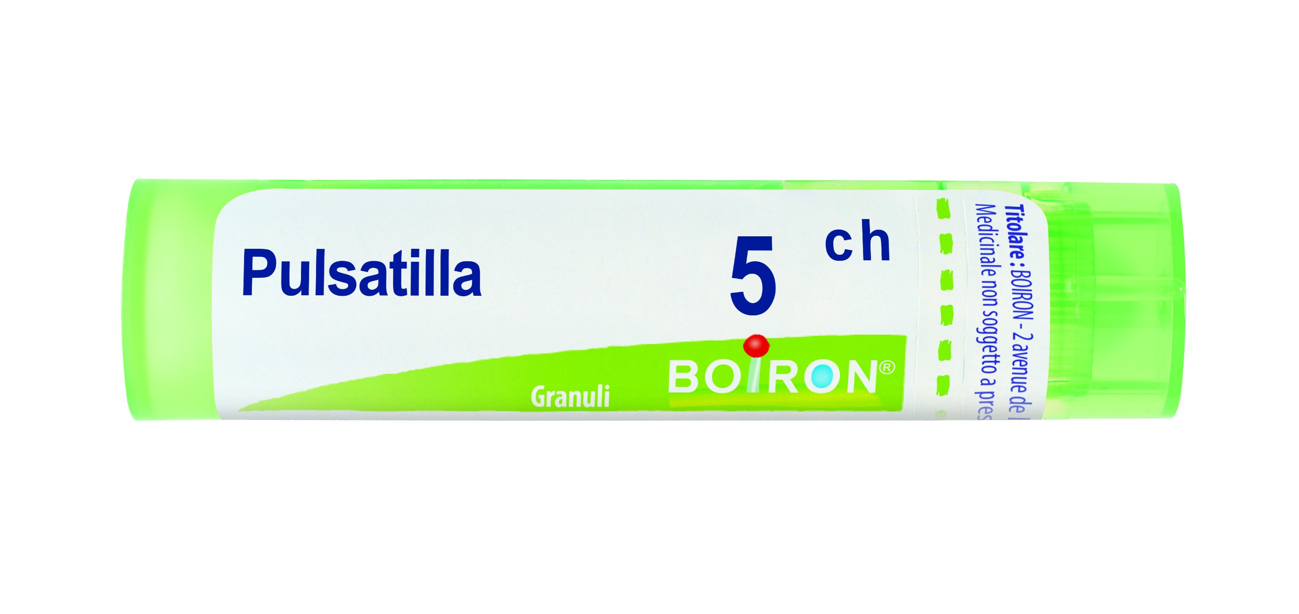 Pulsatilla 5ch 80gr 4g