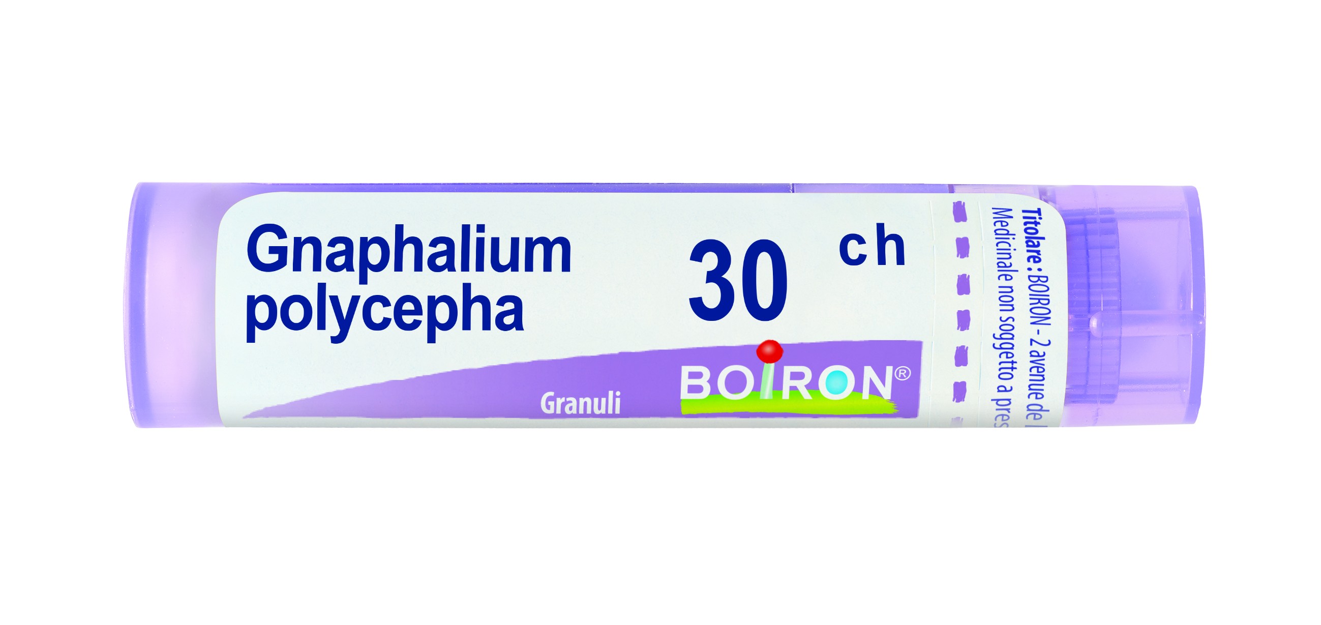 Gnaphalium polycephalum 80 granuli 30 ch contenitore multidose