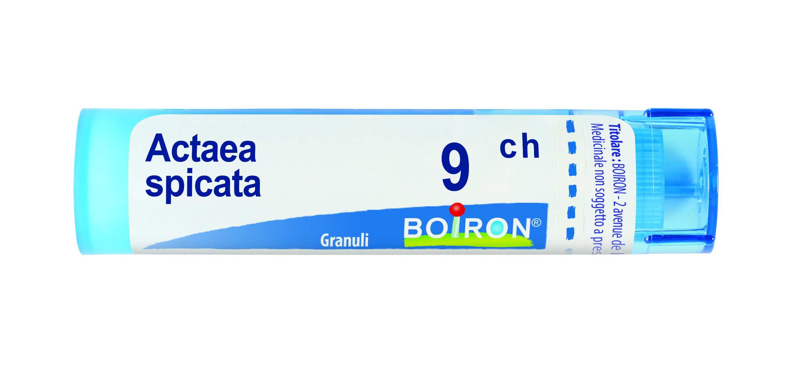 Actaea spic boi*9ch 80gr 4g