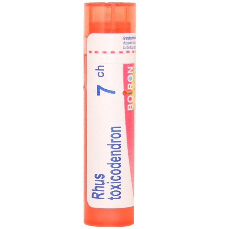Rhus toxicodendron 7ch 80gr 4g