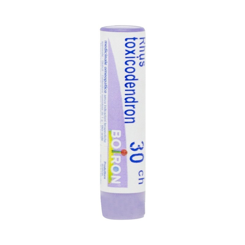 Rhus toxicodendron 30ch 80gr4g