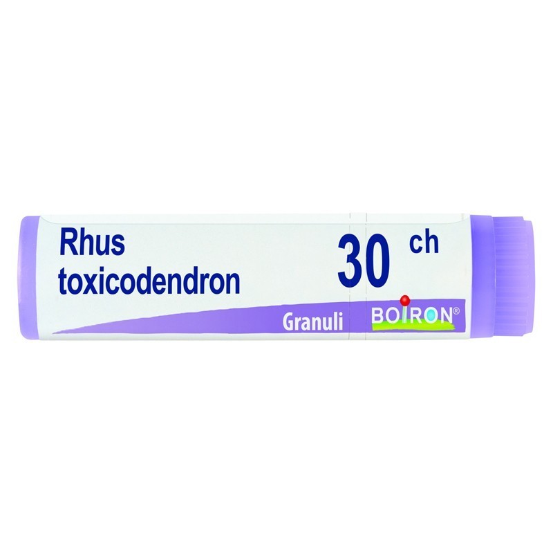 Rhus toxicodendron 30ch gl 1g