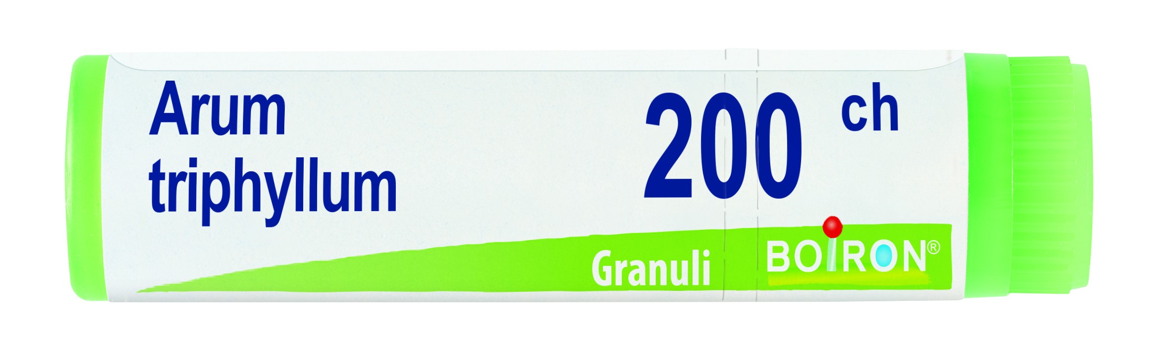 Arum triphyl boi 200ch gl 1g