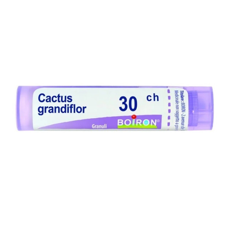 Cactus grandiflorus 30ch 80gr