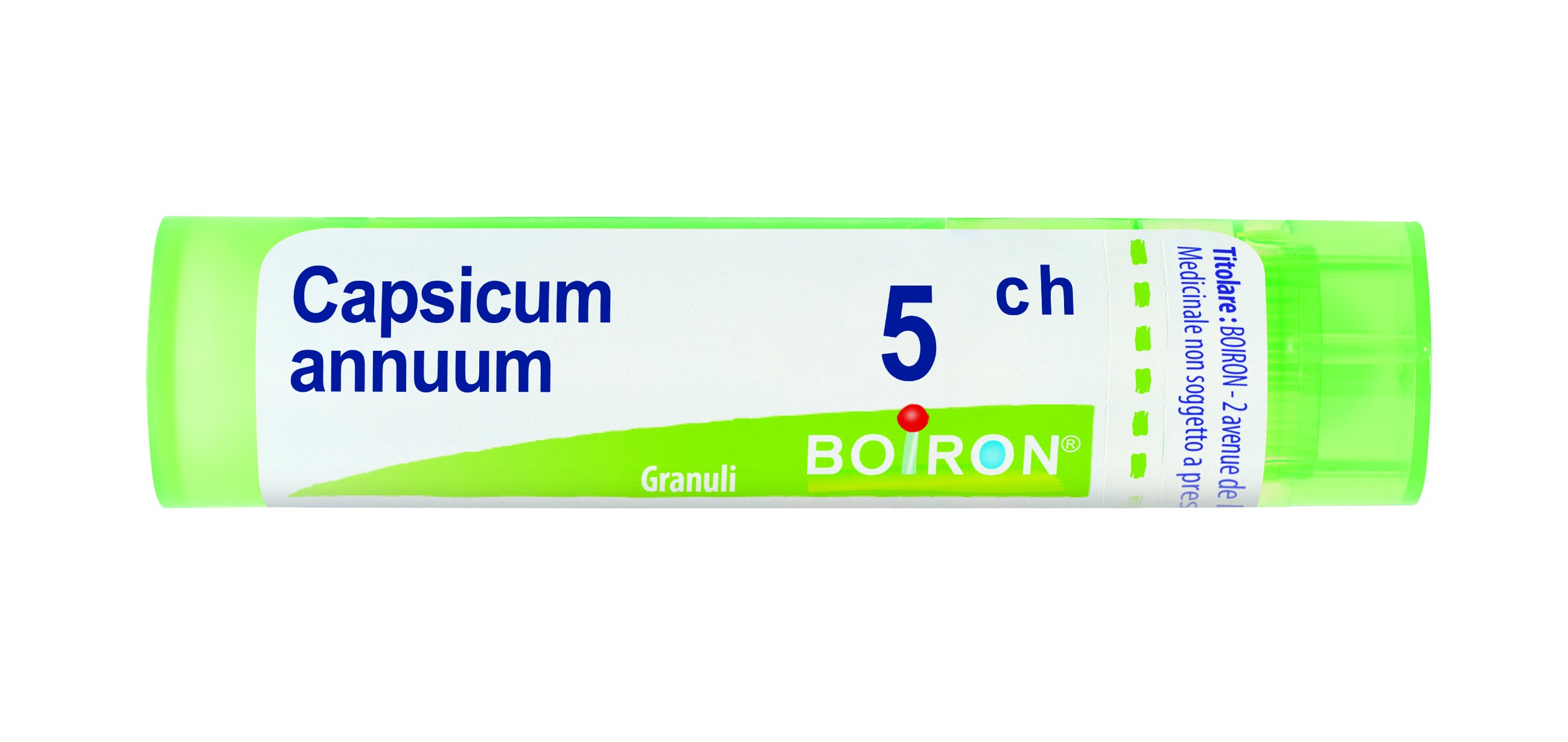 Capsicum annuum 5ch 80gr 4g