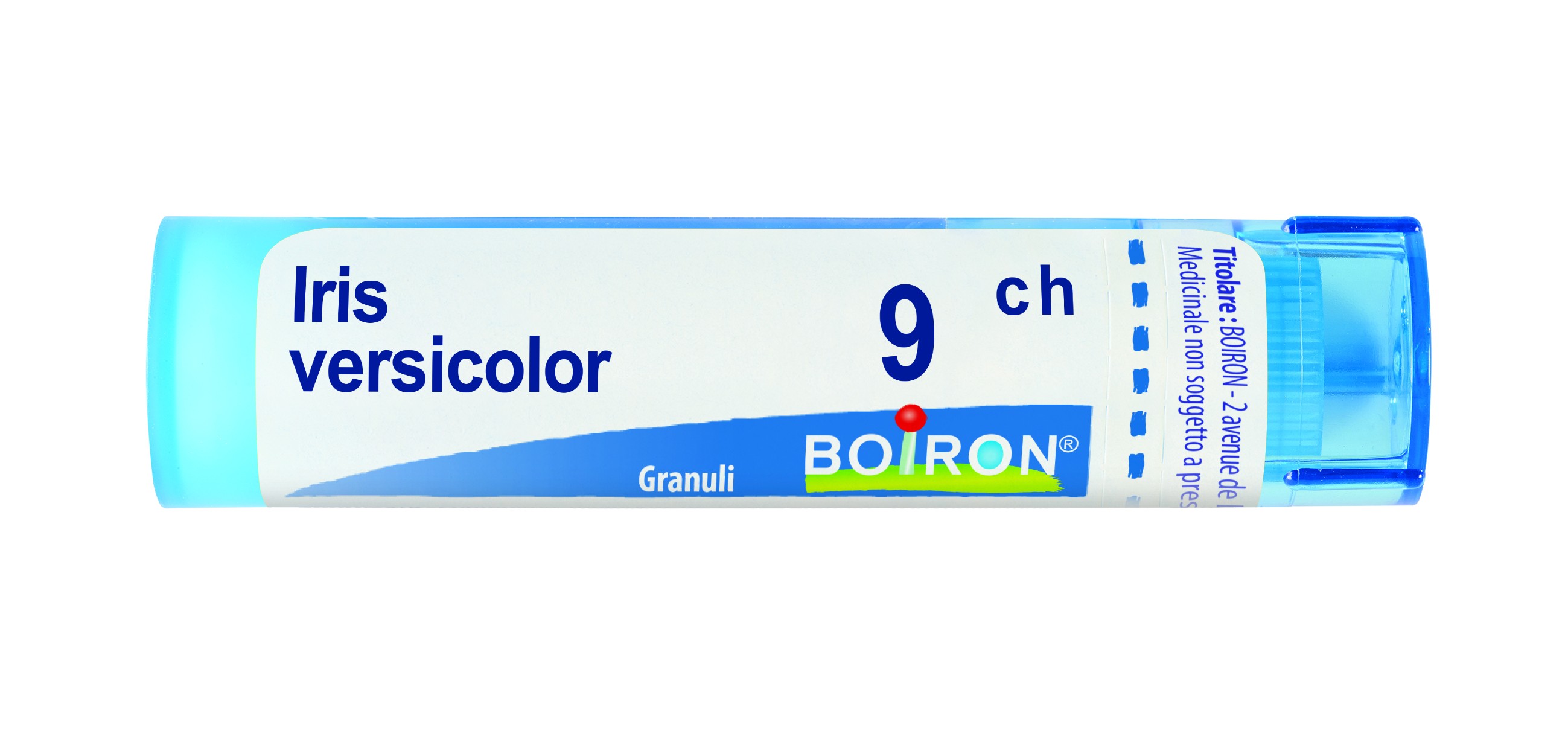 Iris versicolor 9ch 80gr 4g