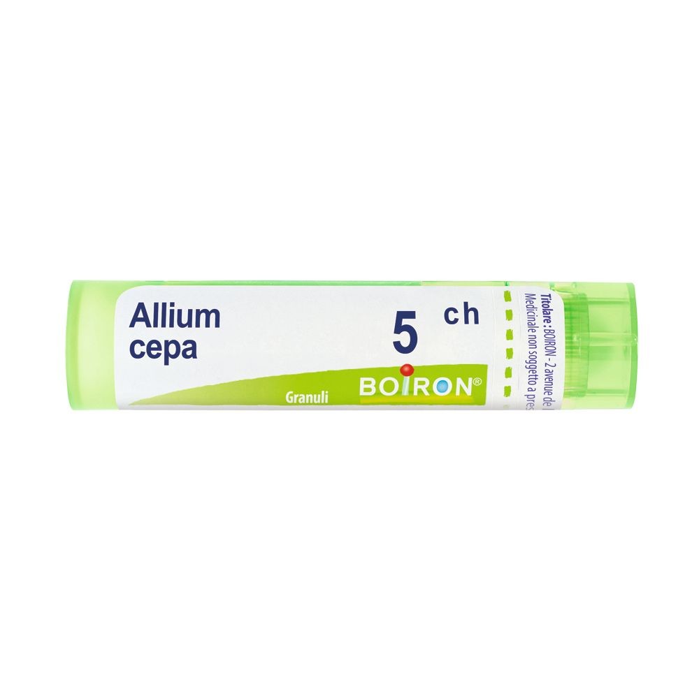 Allium cepa boi 5ch 80gr 4g
