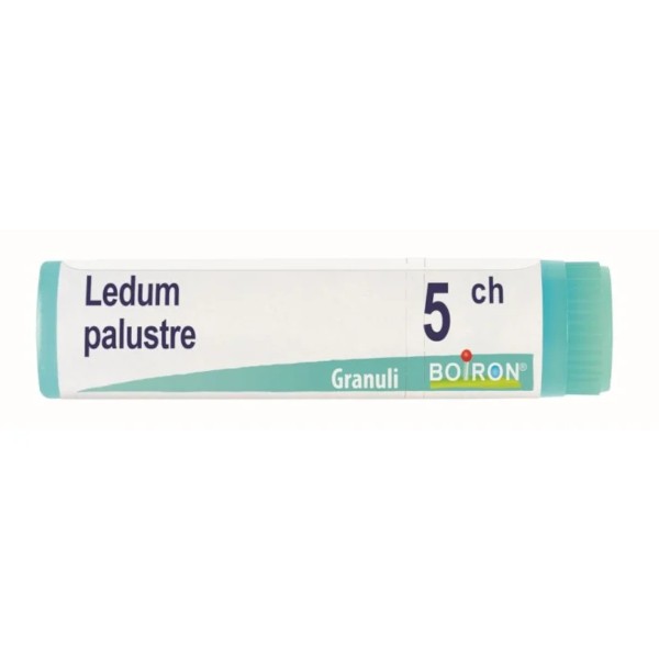 Ledum palustre boi 5ch gl 1g