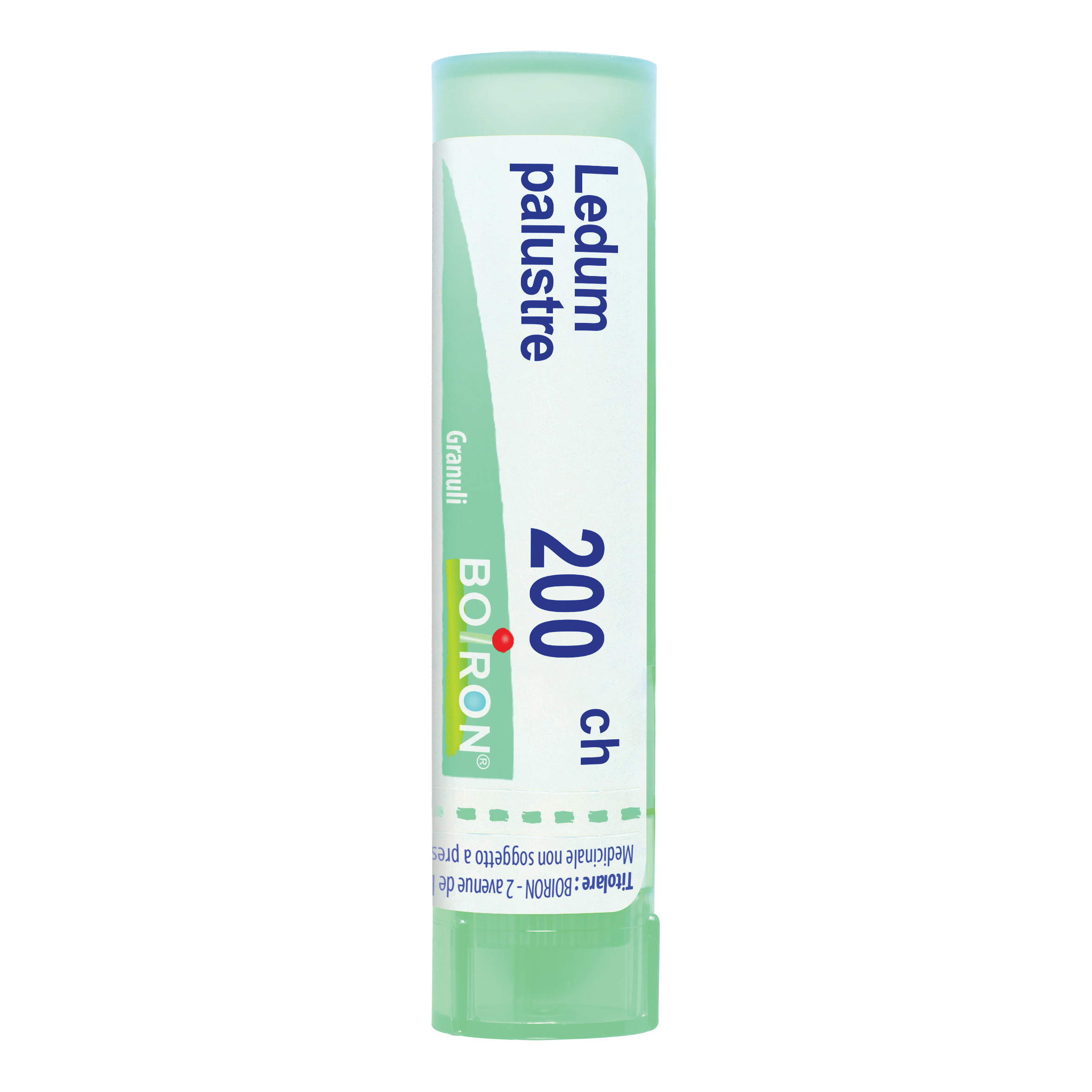 Ledum palustre boi 200ch80gr4g