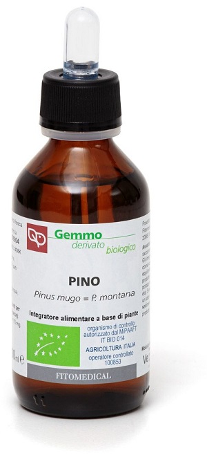 Pino mg bio 100ml ftm