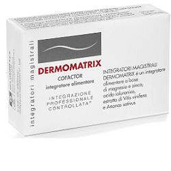 Dermomatrix Integratore Magistrale 20 Capsule