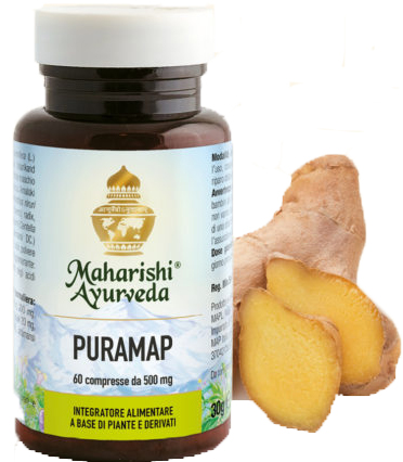 Puramap 60 Capsule 0,5g