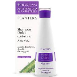 Shampoo dolce aloe vera