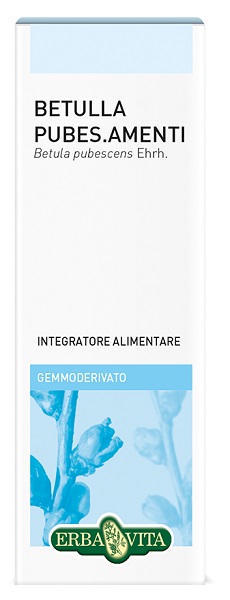 Gemmoderivato betulla pub. ebv