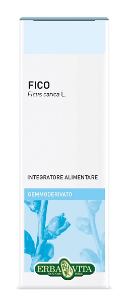 Gemmoderivato fico 50ml ebv