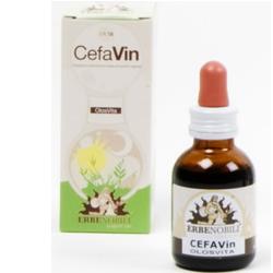 Cefavin 50Ml-image