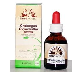 Erbenobili Srl Fitoblasto Crataegus Ox.50ml