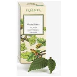 Tilia tormengemme gemmode erbam
